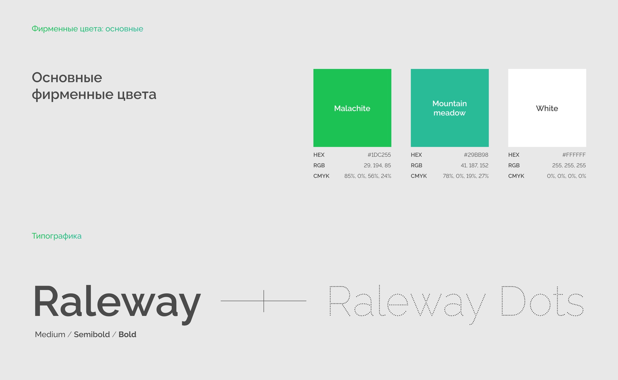 Фирменный стиль Smartfact