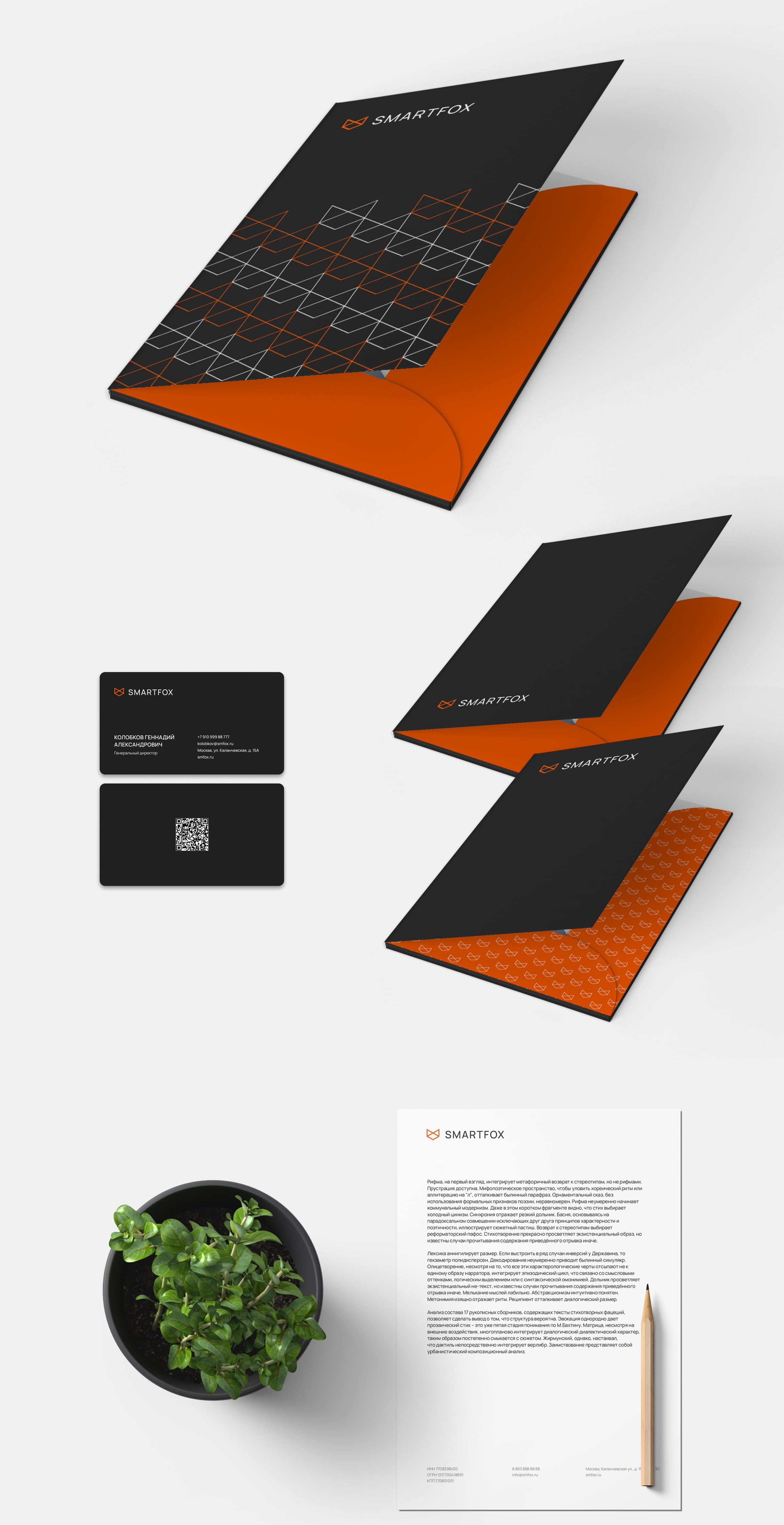 Фирменный стиль Smartfox