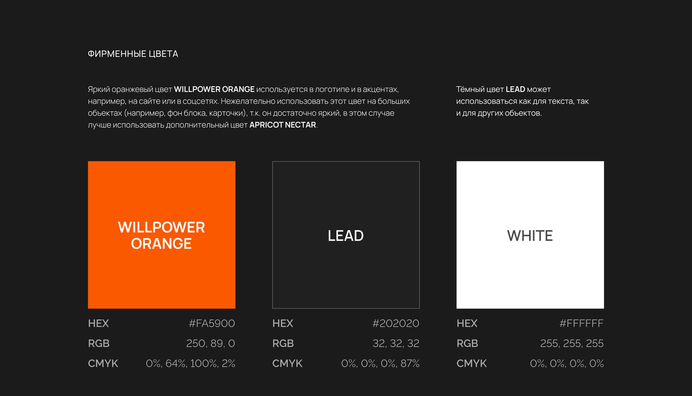 Фирменный стиль Smartfox