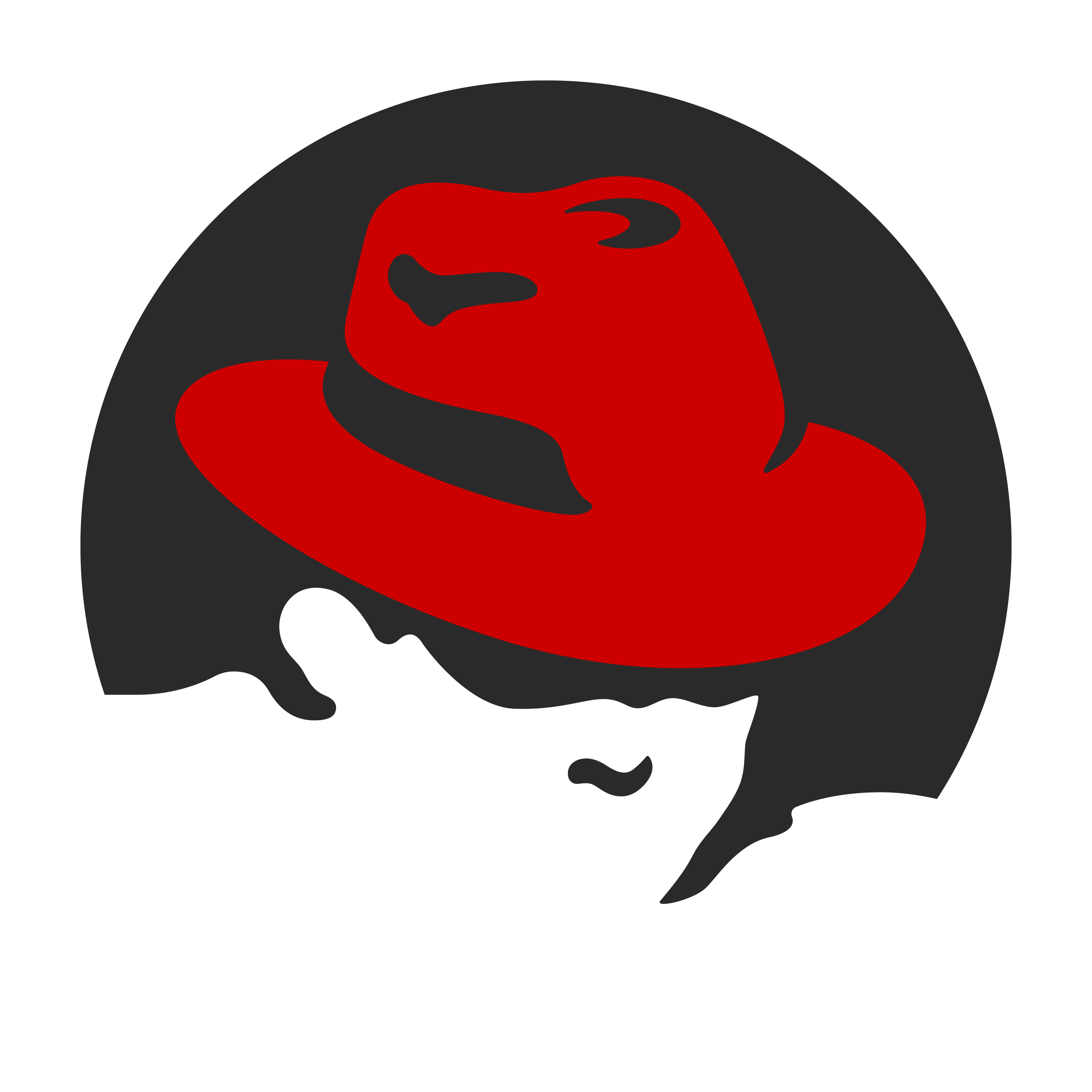 Операционная система Red Hat Enterprise Linux | Технологии